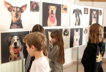 POGLEJ ME V OČI RAZSTAVA V OŠ RAKEK 05 FOTO LJUBO VUKELIČ